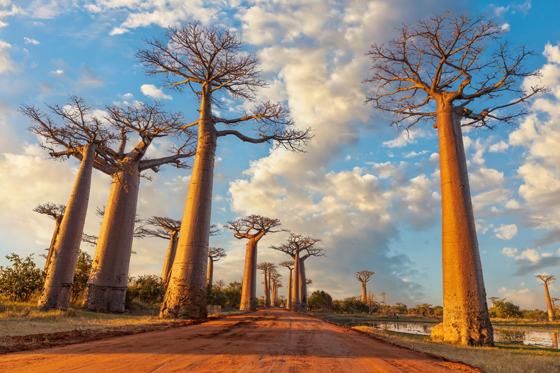 madagascar