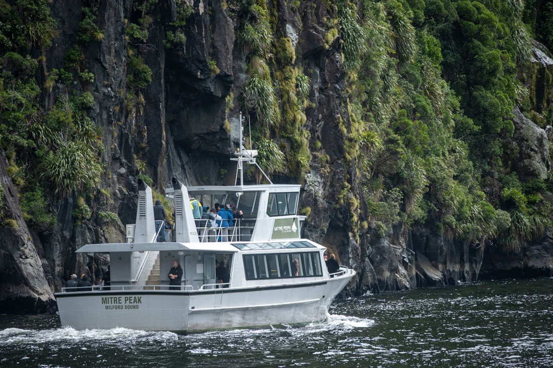 mitre-peak-cruise